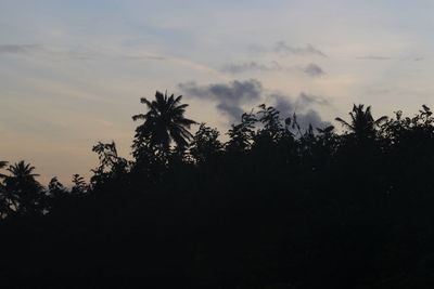 Silhouette trees against sky during sunset