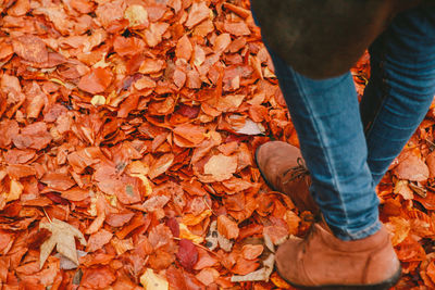 Low section of person walking on orange leaves