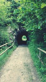 Tunnel amidst plants