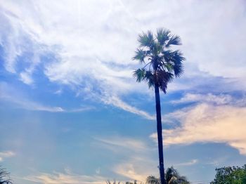 Low angle view of flowering plant against sky
