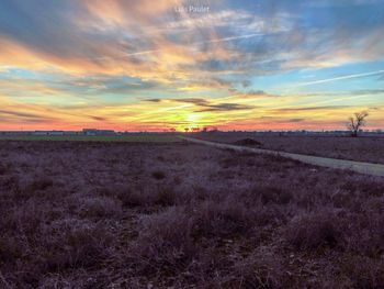 Scenic view of field against sky during sunset