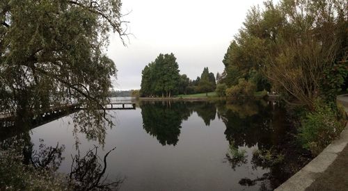 Reflection of trees in calm lake