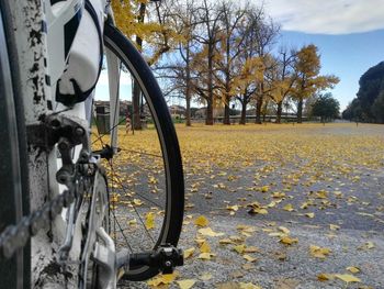 Close-up of bicycle during autumn