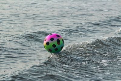 High angle view of ball in swimming pool