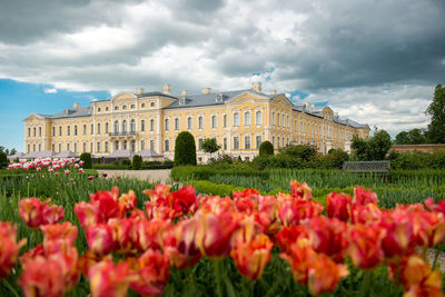 Rundale palace, summer residence of the duke of courland ernst johann biron. it was built in 1740. 