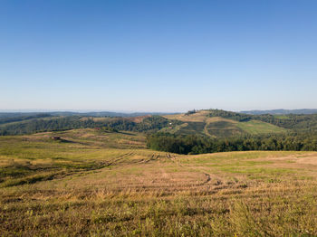 Scenic view of field against clear sky