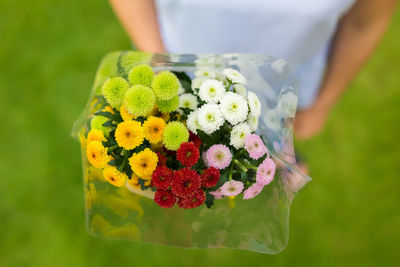 Close-up of flower bouquet on plant