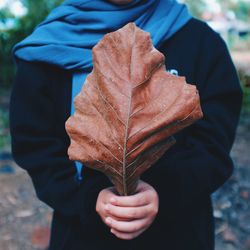 Midsection of man holding autumn leaf