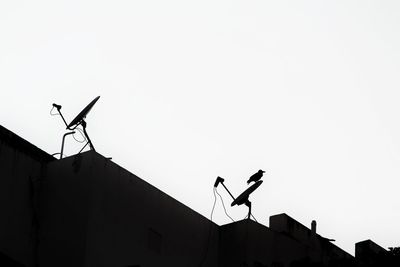 Low angle view of bird perching on building