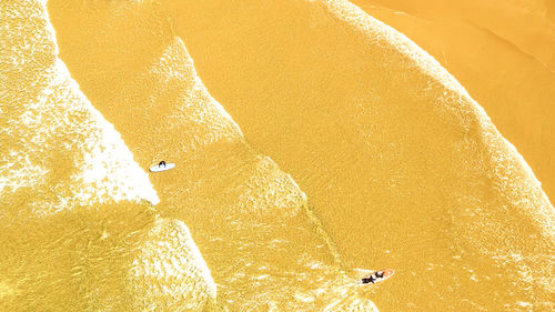 High angle view of bread in sea