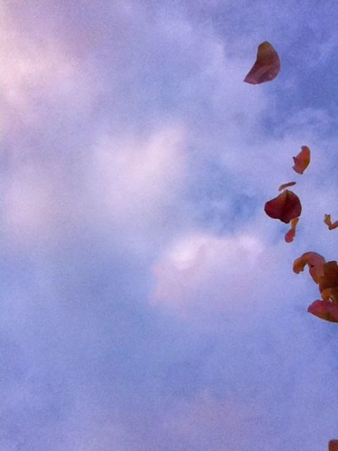 sky, low angle view, cloud - sky, beauty in nature, nature, cloudy, cloud, blue, mid-air, tranquility, outdoors, one person, flying, day, scenics, tranquil scene, leisure activity, multi colored, unrecognizable person