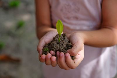 Midsection of girl holding plant