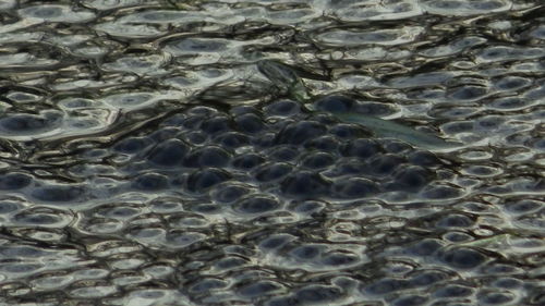 Full frame shot of rocks