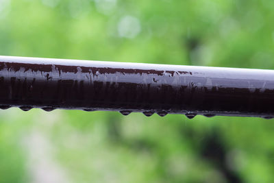 Close-up of wet metal railing