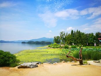 Scenic view of tree by mountains against sky