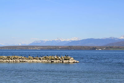 Scenic view of lake against clear blue sky