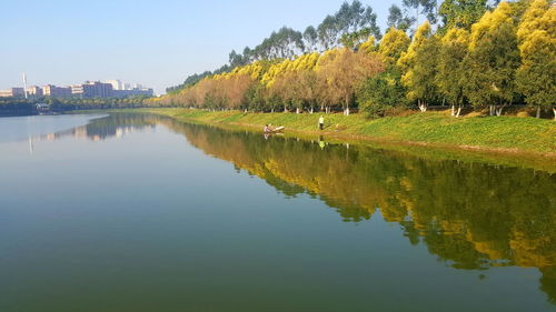 Reflection of trees in lake