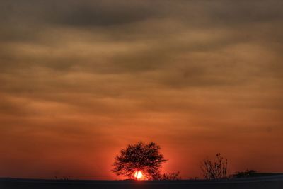Silhouette trees against sky during sunset