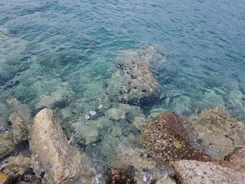 High angle view of rocks on beach