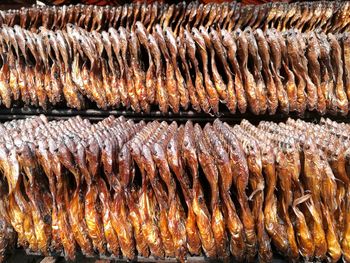 Smoked fish racks