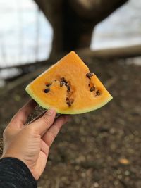 Close-up of hand holding watermelon