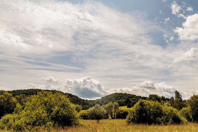 Scenic view of field against sky