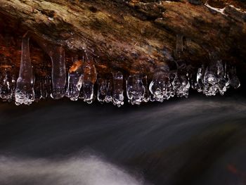 Icy branches above winter creek. bright reflections in icicles, blur  foam on water level. icy art