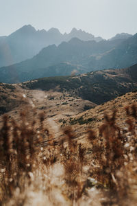 Scenic view of mountains against clear sky