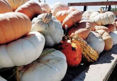 Close-up of pumpkins