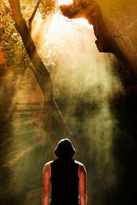 Rear view of man standing in forest