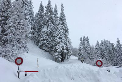 Snow covered trees against sky