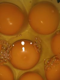 High angle view of yellow water in glass