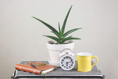 Close-up of potted plant on table against wall