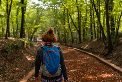 Rear view of woman looking at forest