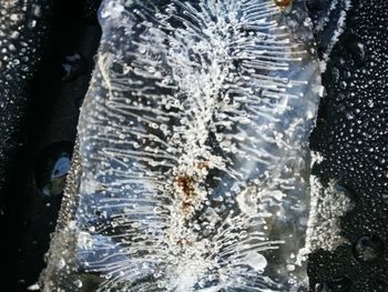 Close-up of bubbles in sea