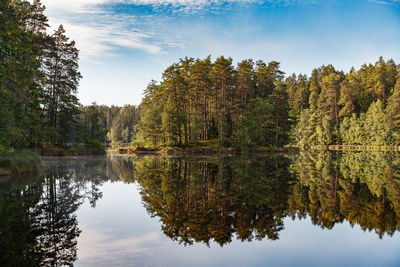 Reflection of trees in lake against sky