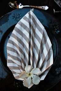 Close-up of white flowers