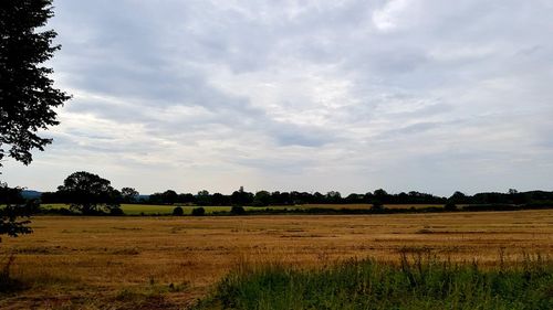 Scenic view of field against sky