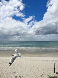 sea