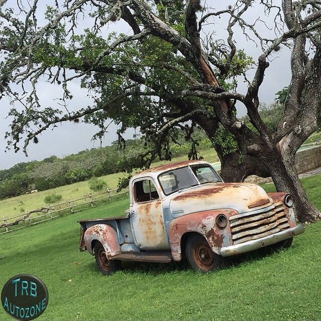 transportation, mode of transport, land vehicle, abandoned, tree, grass, field, car, obsolete, old, damaged, run-down, tractor, landscape, green color, rusty, deterioration, day, grassy, growth