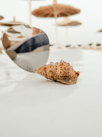 Close-up of dessert on table