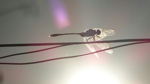 Low angle view of lighting equipment