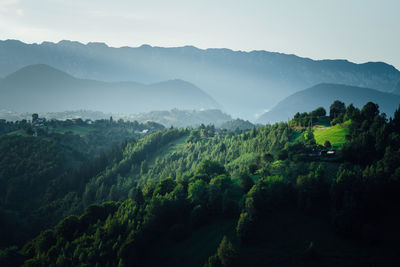 Scenic view of trees and mountains against sky