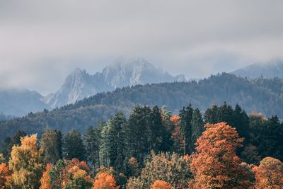 Scenic view of mountains against sky during autumn