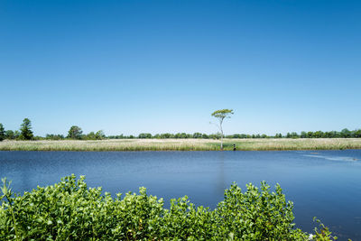 Scenic view of lake against clear blue sky