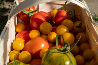 High angle view of fruits in basket