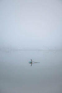 Man on boat in foggy weather
