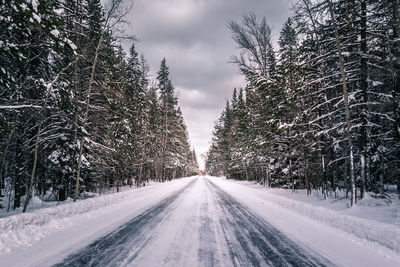 Snow covered trees against sky