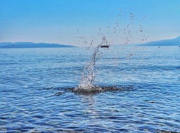 Scenic view of sea against blue sky