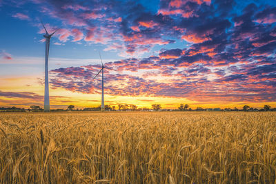 Scenic view of wheat field against sky during sunset